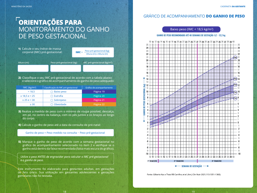 🔶 Gestantes com Risco ou com Diagnóstico de Morbidades Associadas à ...